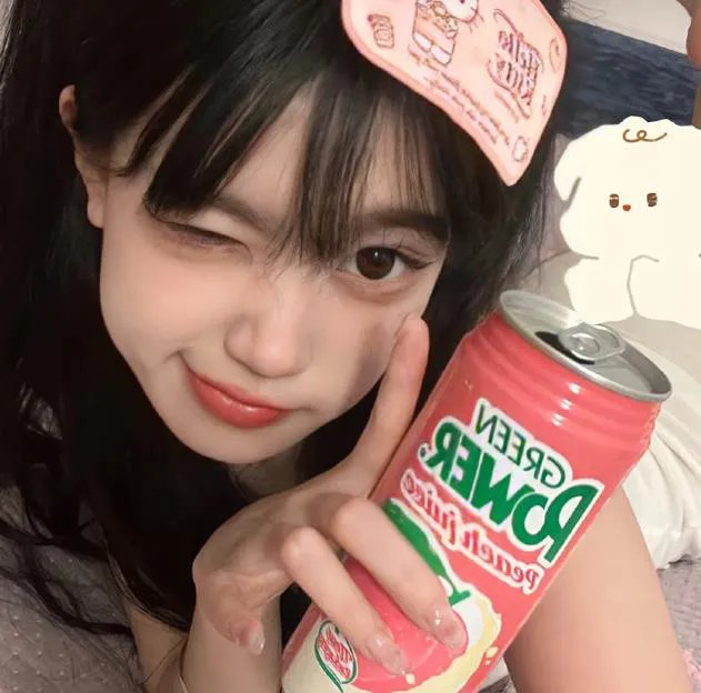 藏獒情未了